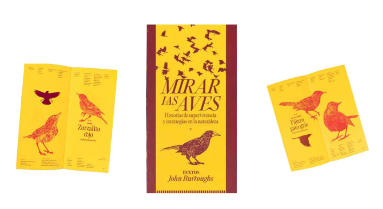 Mesa Estándar presenta “Mirar las aves”