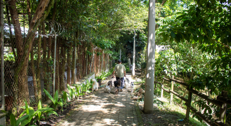 La Filarmónica de Medellín llevará música al Parque Lineal La Presidenta