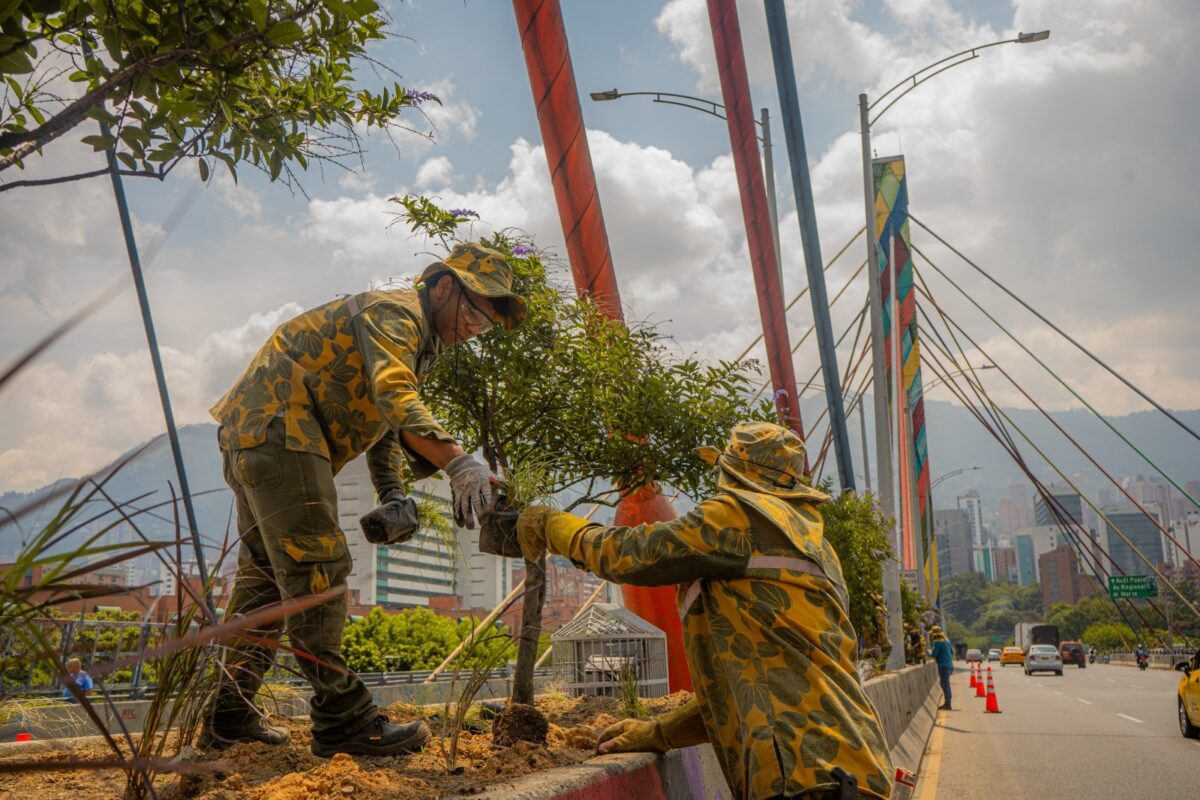 Puente de la $ Sur vivi´p mantenimiento y embellecimiento de su estructura