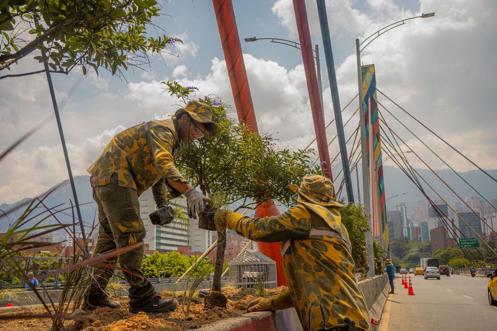 Puente de la $ Sur vivi´p mantenimiento y embellecimiento de su estructura