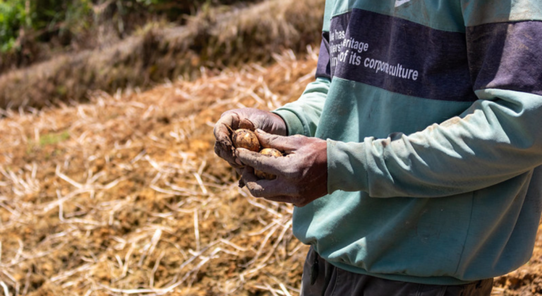 En el campo está sembrada la solución contra el hambre 