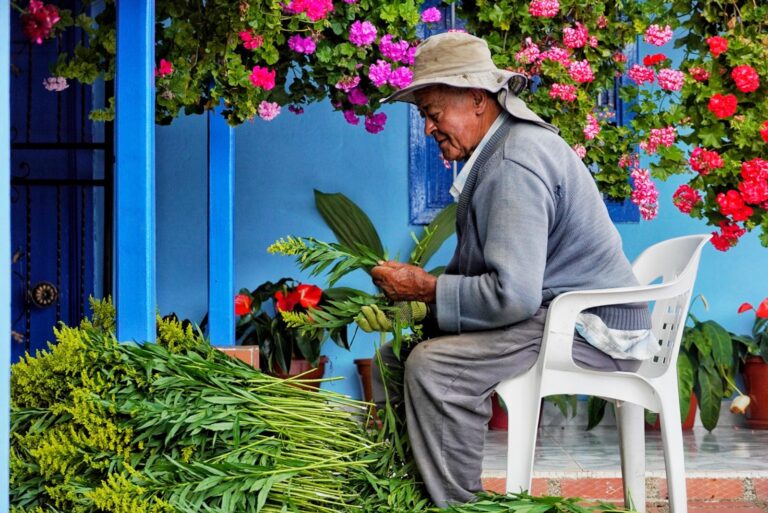 Evaluación del plan de salvaguardia refuerza compromiso con tradición silletera