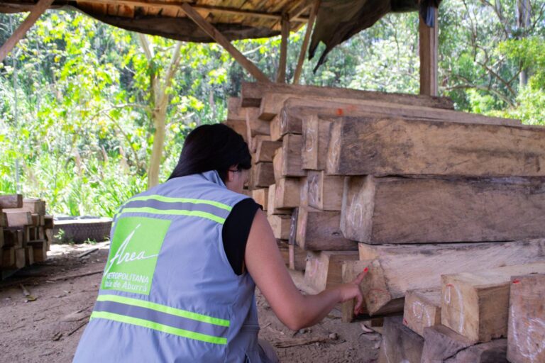 Reconocimiento a empresas forestales por su compromiso con la madera legal