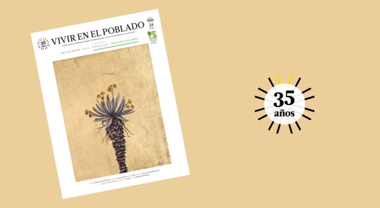 Plantas divinas: el frailejón de Verónica Muñoz