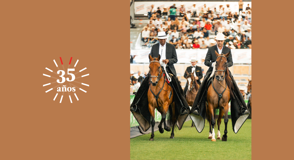 Eventos Diferentes Feria (2)
