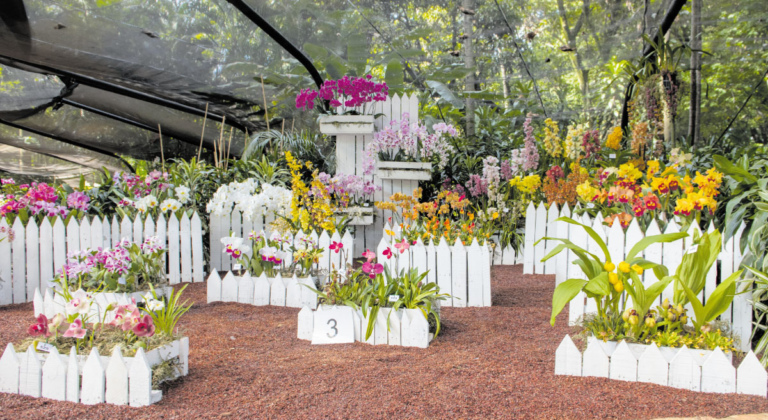 Florecer: de los jardines de Oriente a la Feria de las Flores