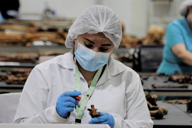 Centro forense de Unidad de Búsqueda lleva 114 cuerpos analizados