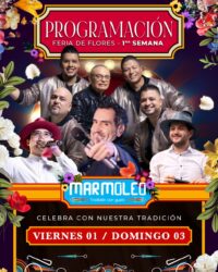 Marmoleo