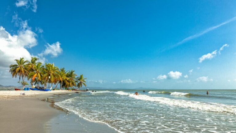 ¿Primero estaba el mar?