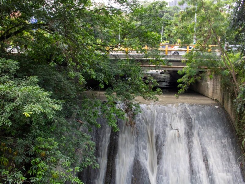 Llega una semana para reconocer la biodiversidad de Envigado (2)