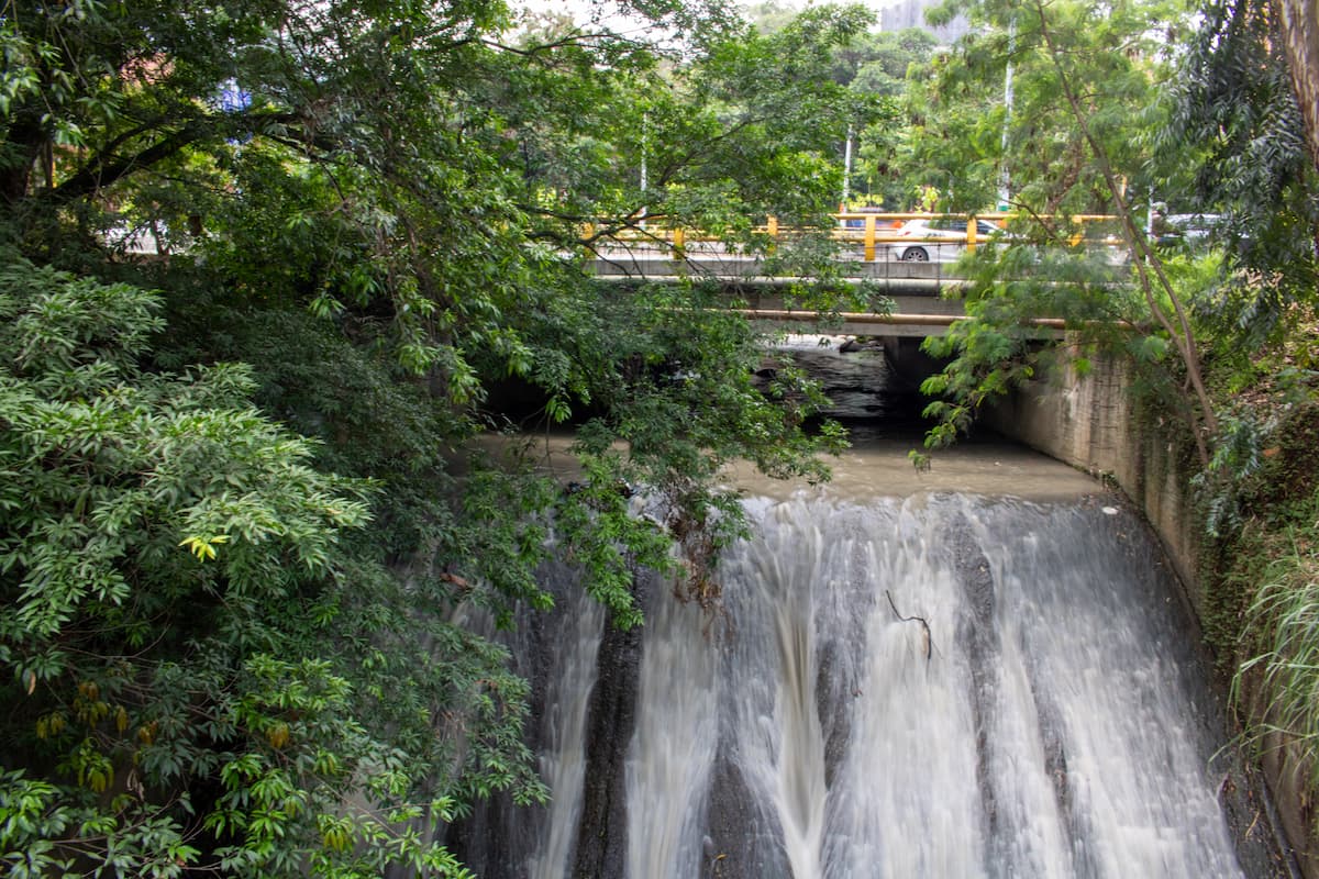Llega una semana para reconocer la biodiversidad de Envigado (2)