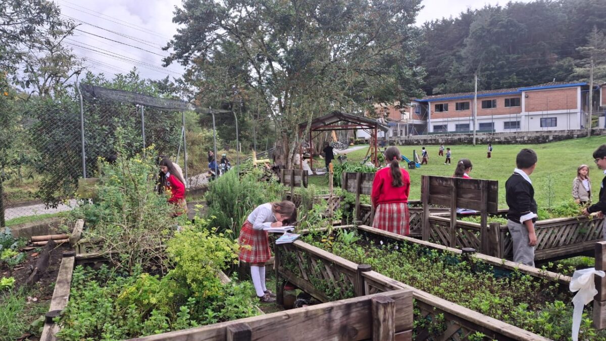 Proyecto Mate-Maticas El Retiro huerta escolar