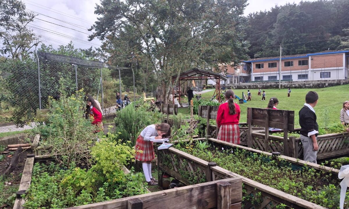 Proyecto Mate-Maticas El Retiro huerta escolar