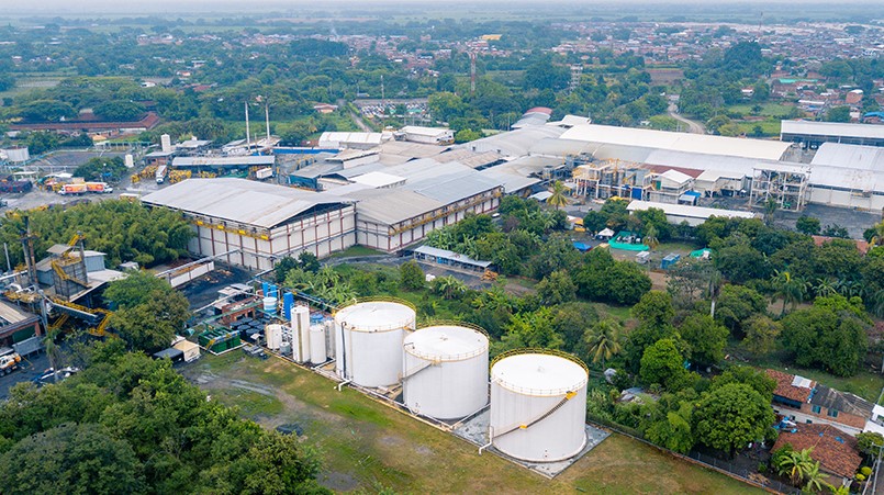Primera exportación de pollo colombiano a Japón
