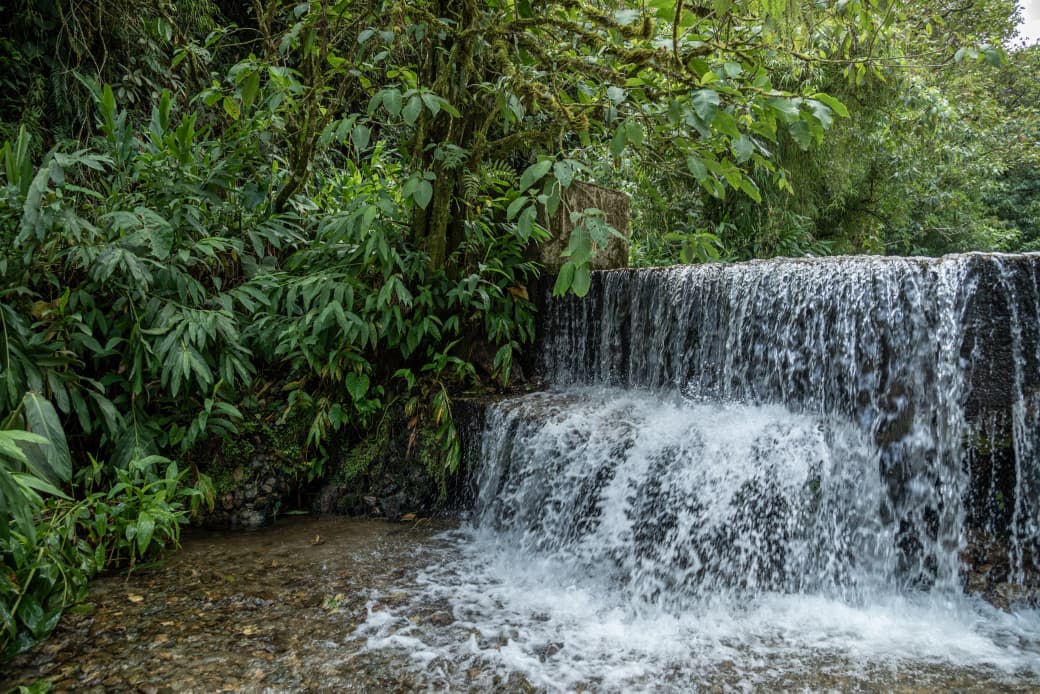 Con un plan de $663.000 millones se busca recuperar las quebradas y el río Medellín