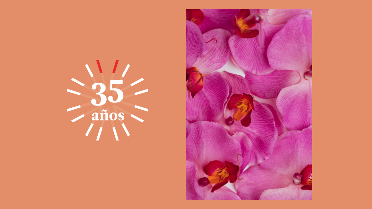 Disfrutar con orquídeas, anturios y bonsáis