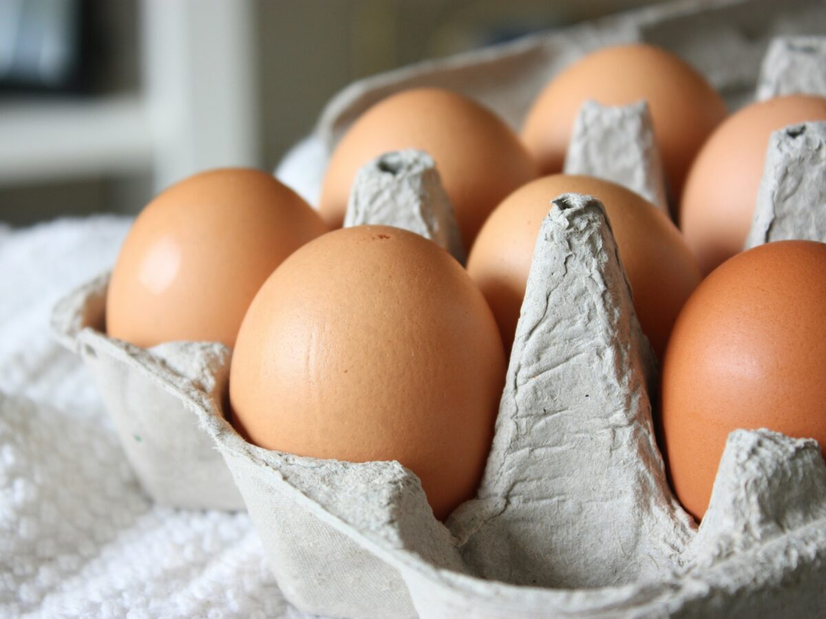 Exportación huevos Colombia Estados Unidos