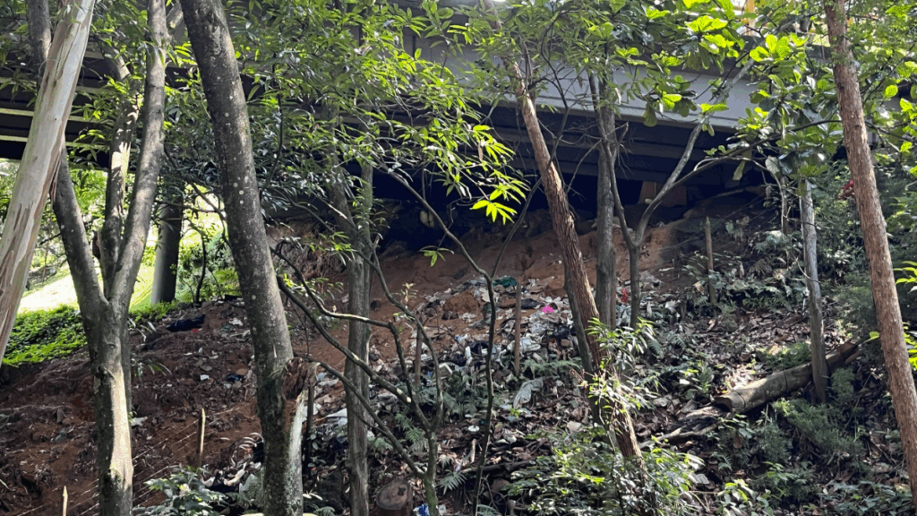 Basuras en bajos de puentes en las transversales