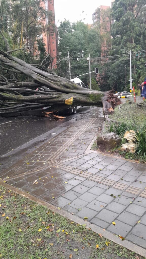 Lluvias aguacero inundaciones árbol