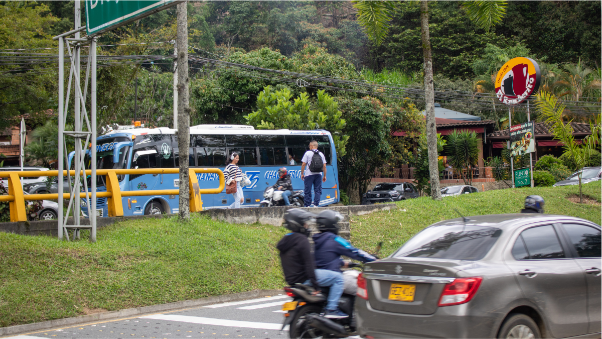 Seguridad vial accidentalidad peatones Las Palmas