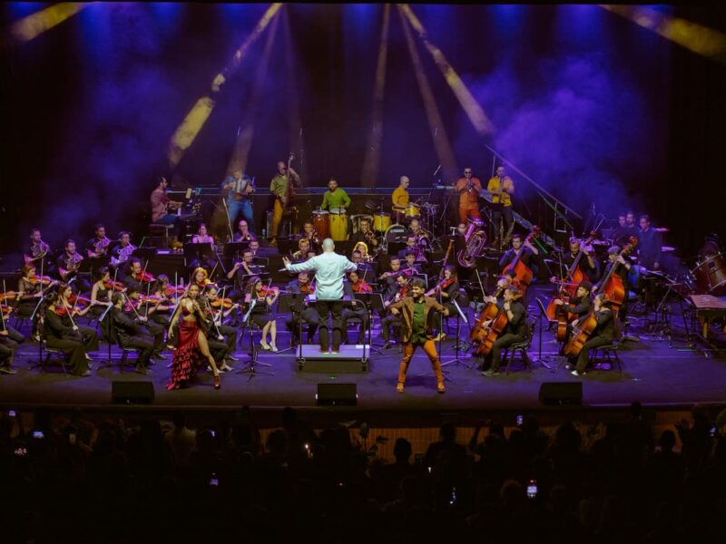 Programate en el teatro El Tesoro este primer semestre de 2026 (1)