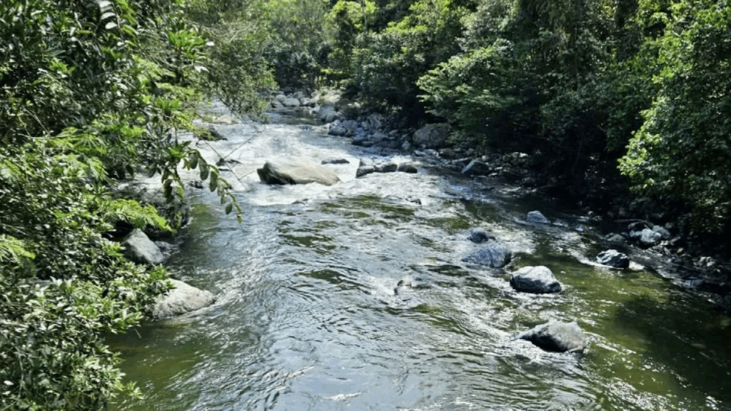 La Aguada del cañón del río Santo Domingo