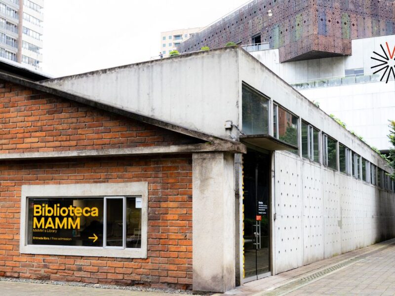 Biblioteca Mamm