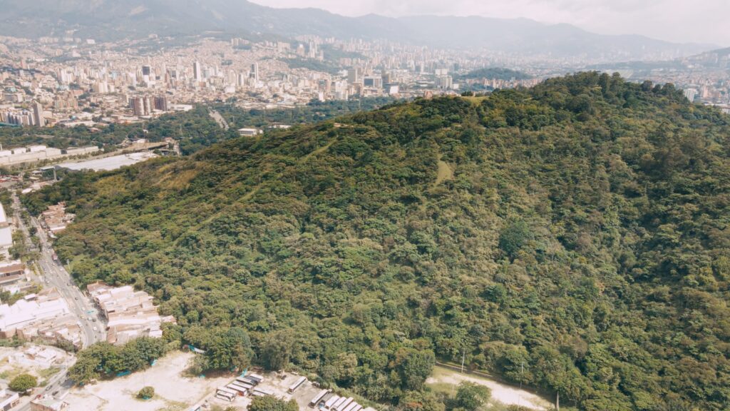 Semana Santa, una oportunidad para respetar y proteger la fauna y flora de Medellín