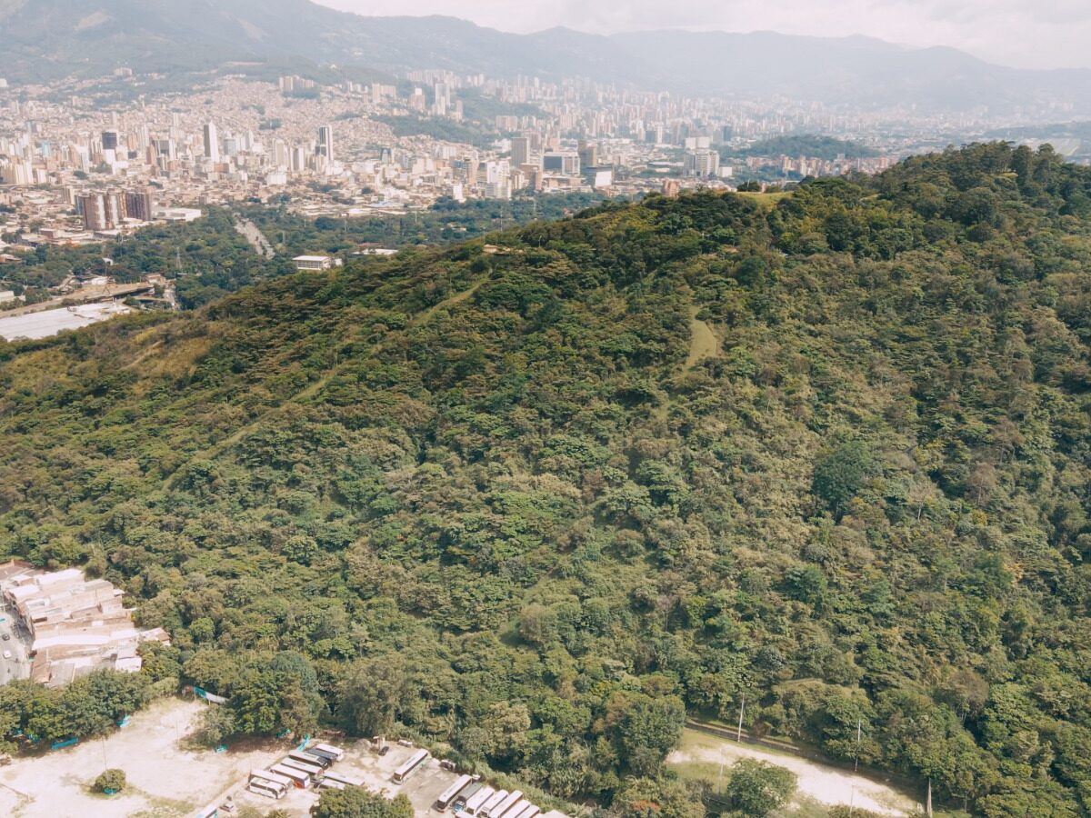 Semana Santa, una oportunidad para respetar y proteger la fauna y flora de Medellín