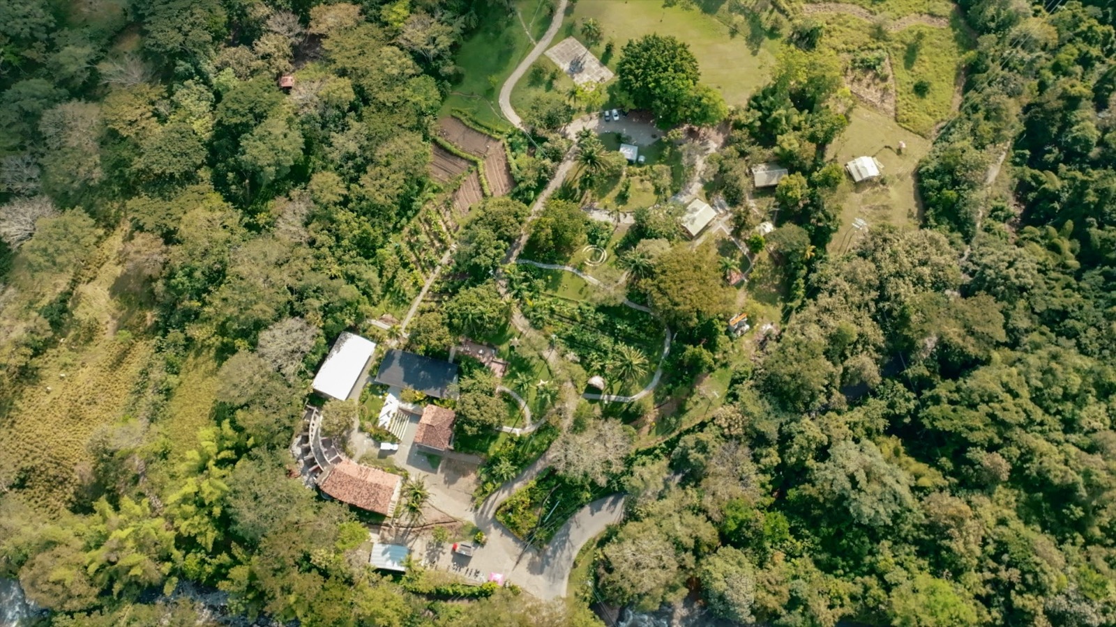 Finca Viva - Biosurpeste (8).