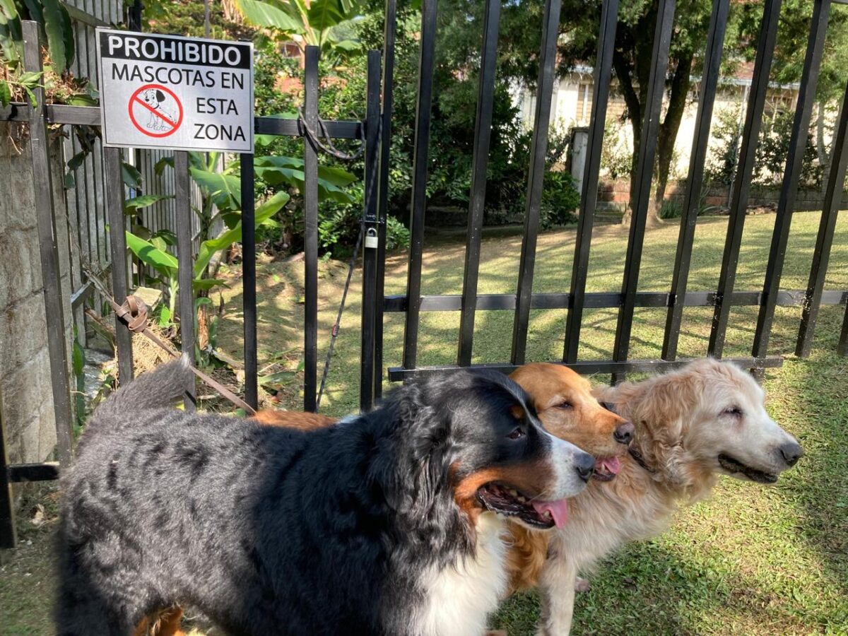 perros zonas comunes urbanizaciones rejas