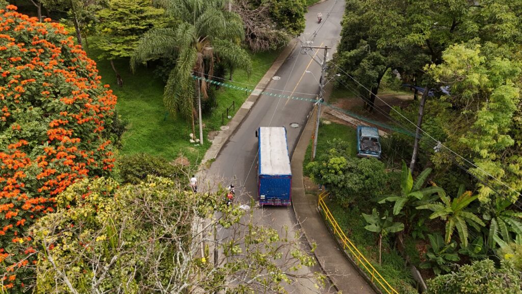 Pasos de fauna medio ambiente