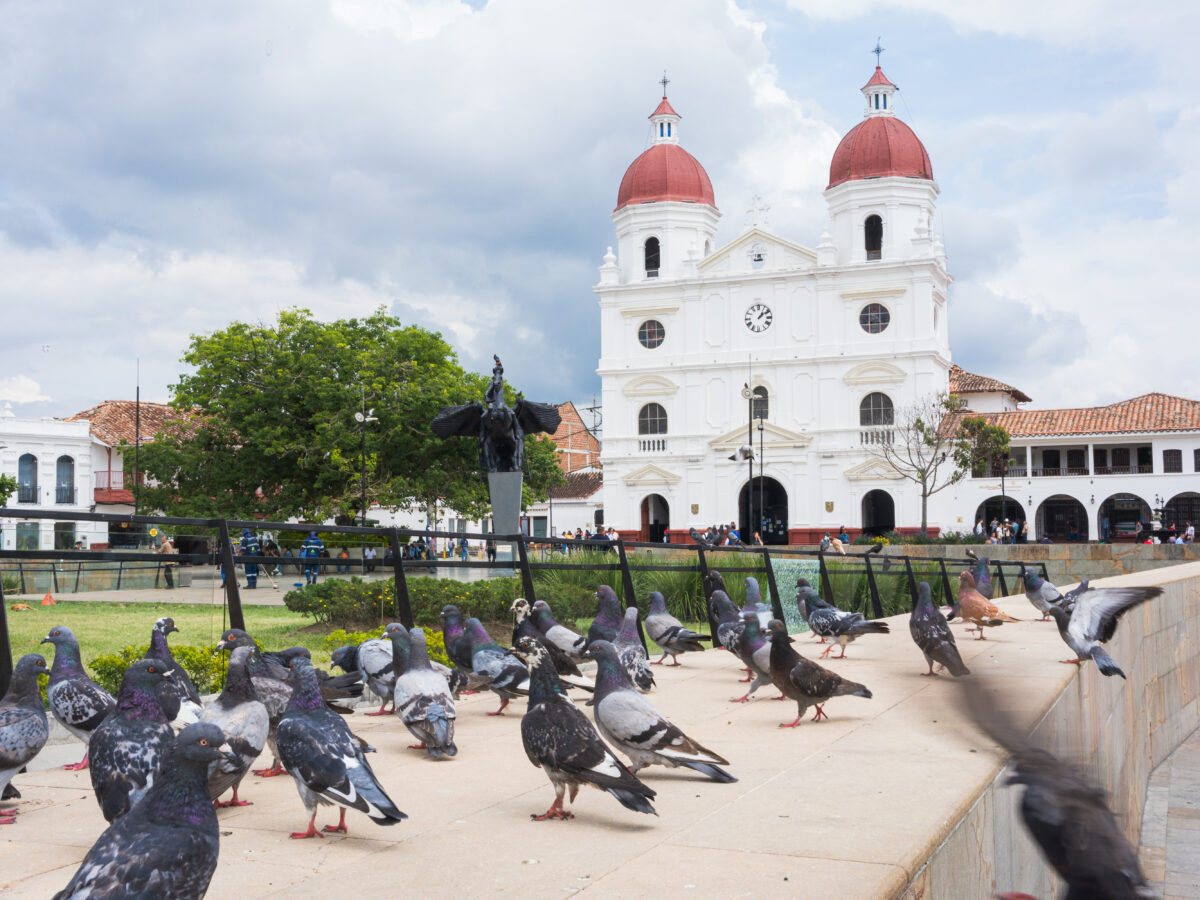 Rionegro elecciones votaciones voto Congreso Senado Cámara de Representantes
