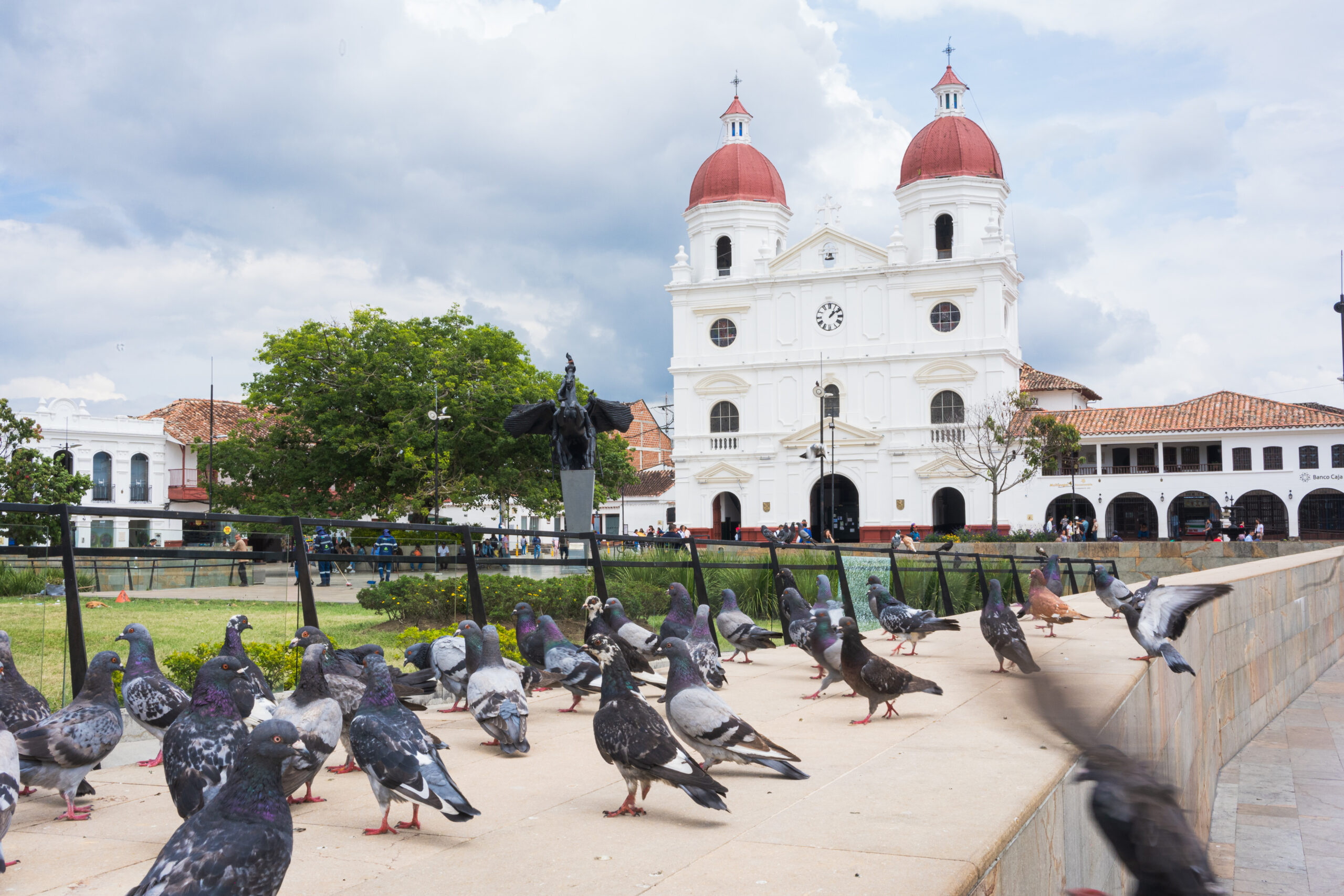 Rionegro elecciones votaciones voto Congreso Senado Cámara de Representantes