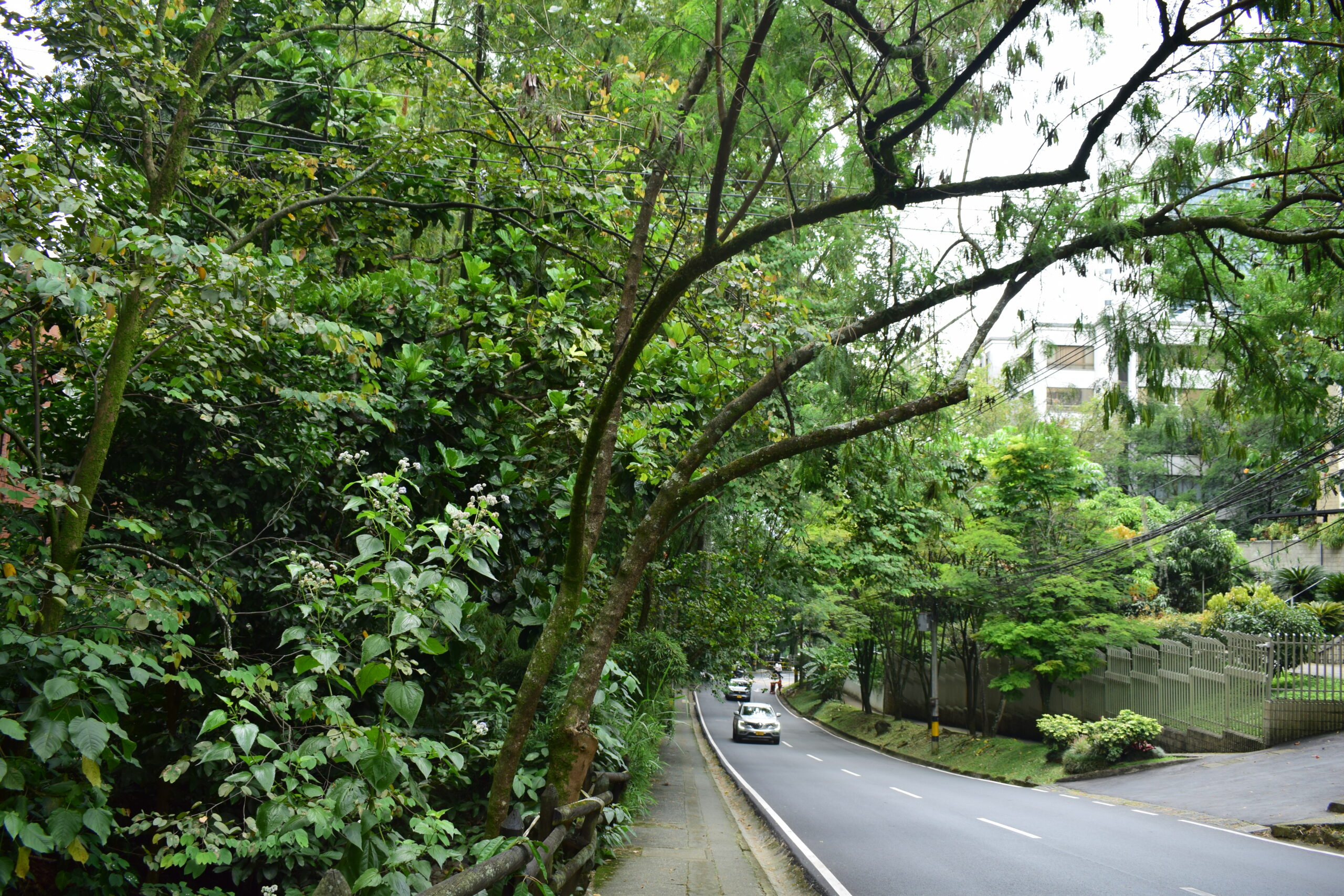 Loma Los González