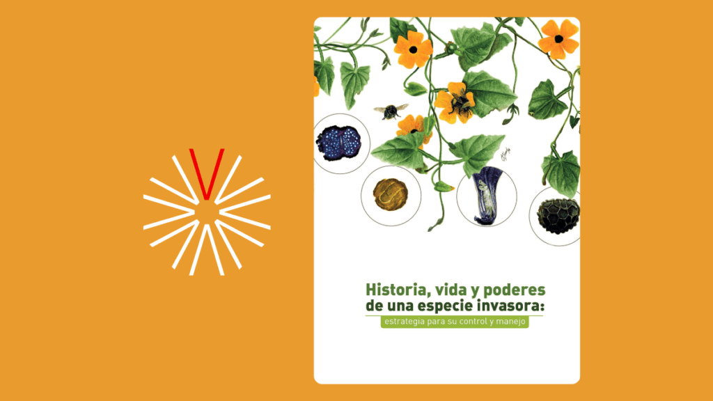 Historia de una invasion