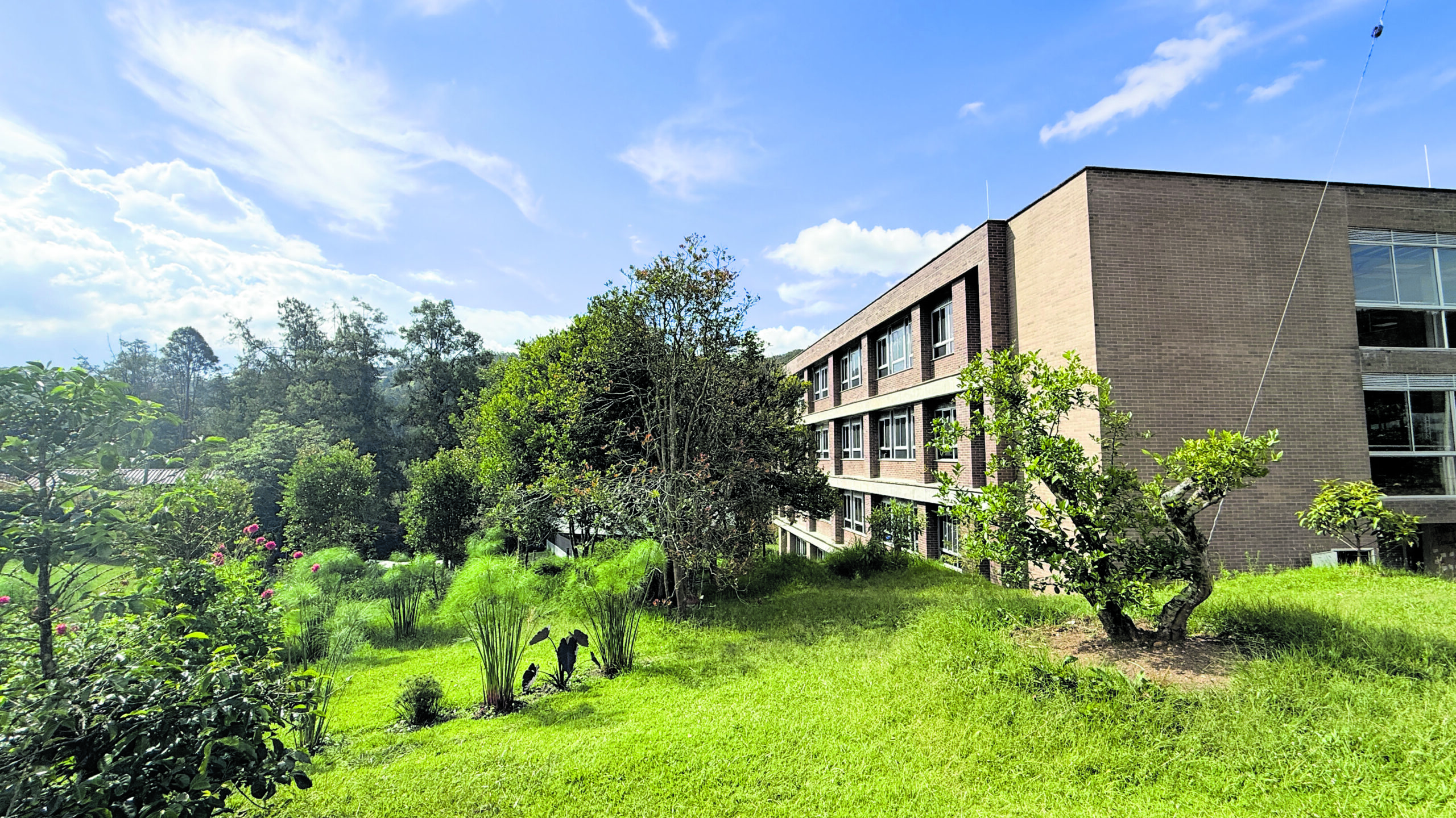 Colegio Jorge Robledo