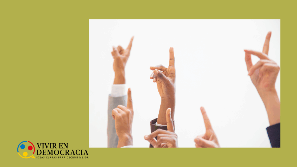 Participacion ¿democratica