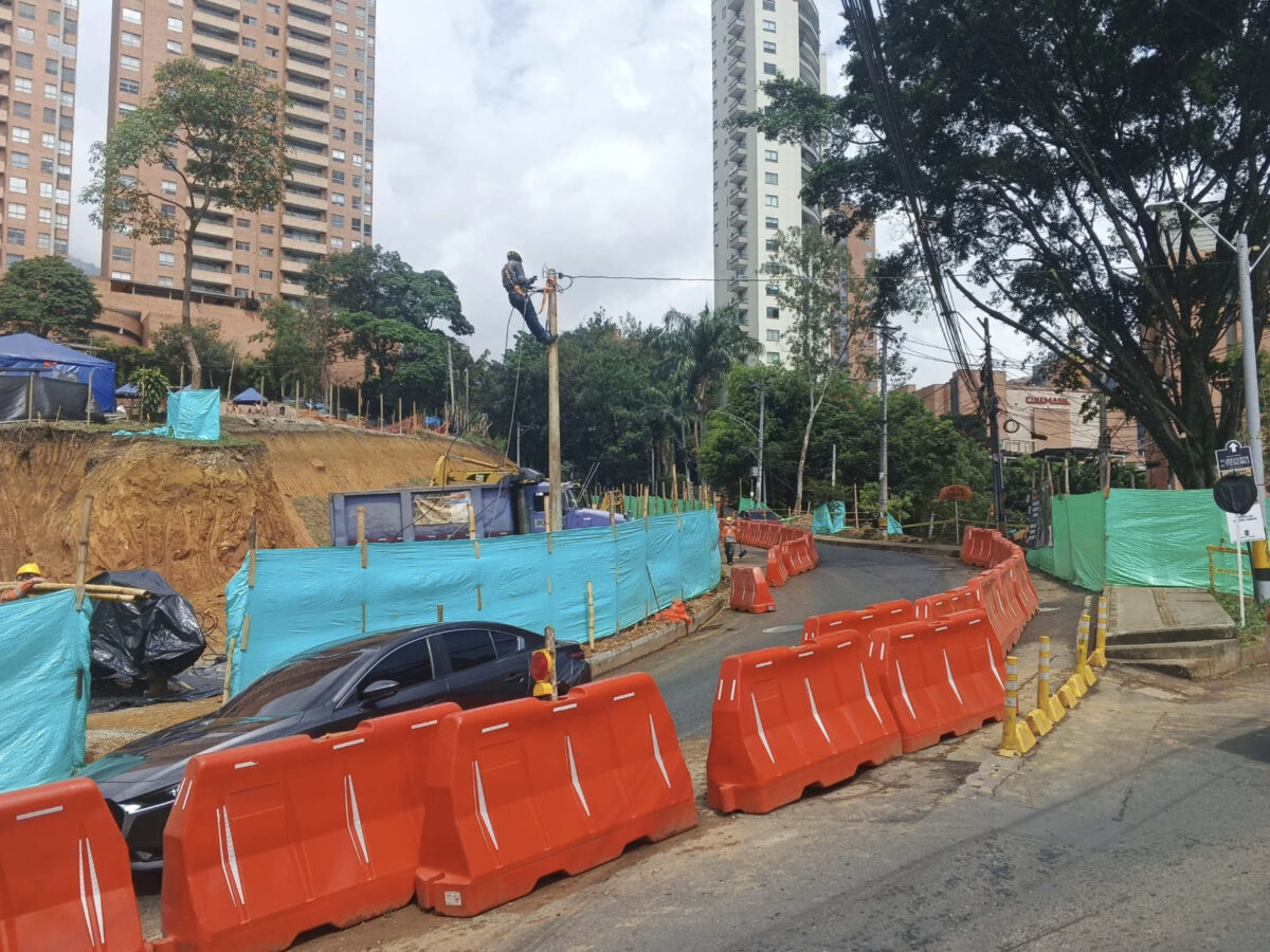 Arboles compensados en Linares