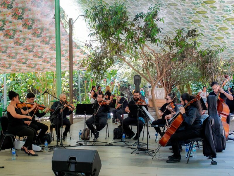 Coolturizate vuelve a programar actividades en el parque lineal de La Presidenta
