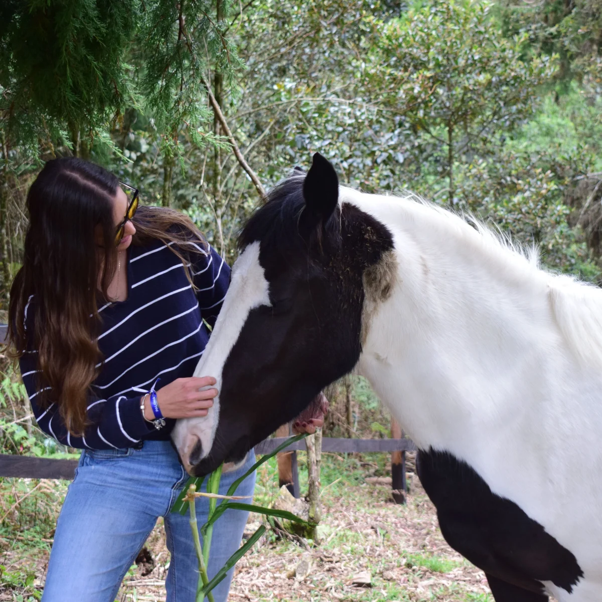 Terapia asistida con animales se consolida en Oriente