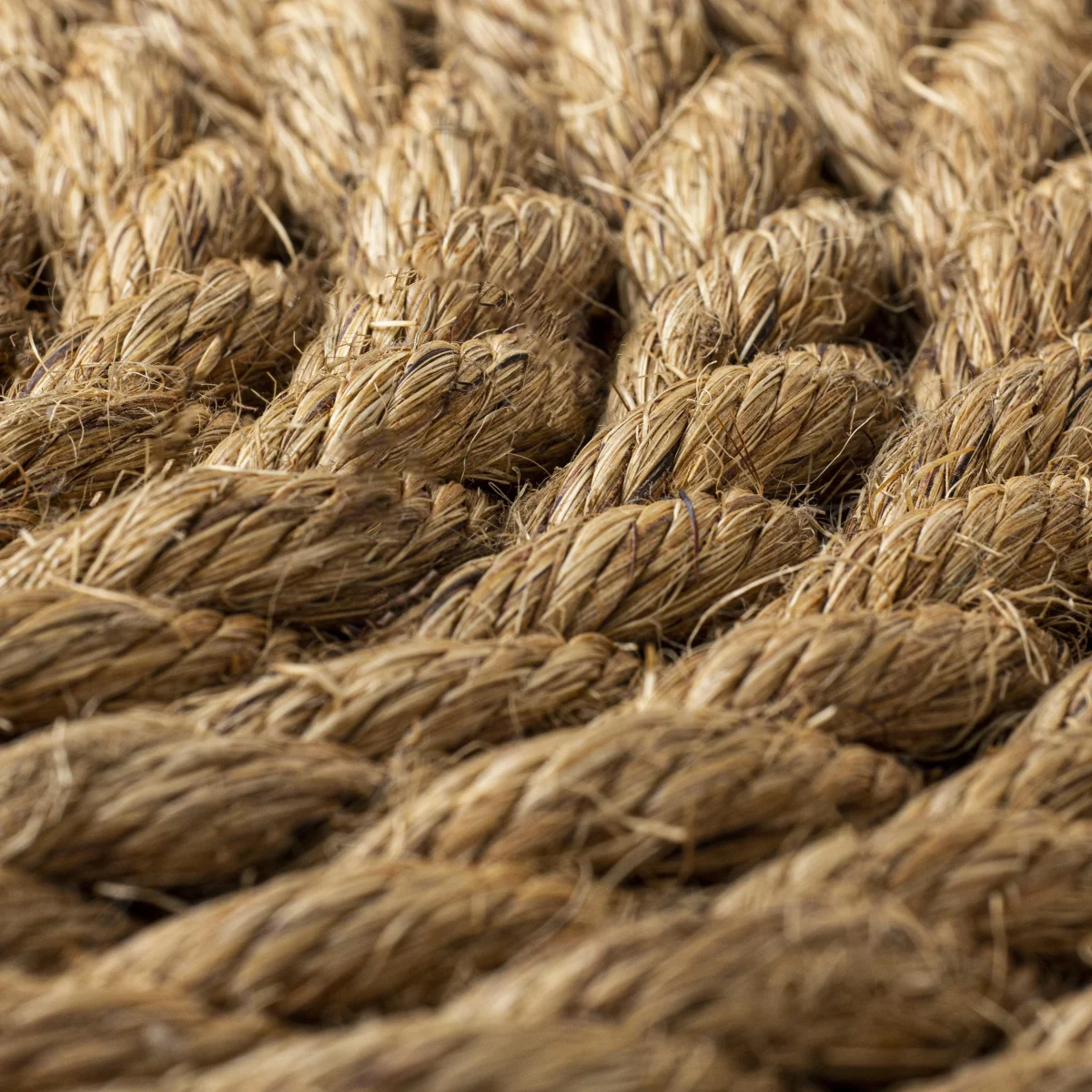 El fique, una fibra natural para cuidar el medio ambiente