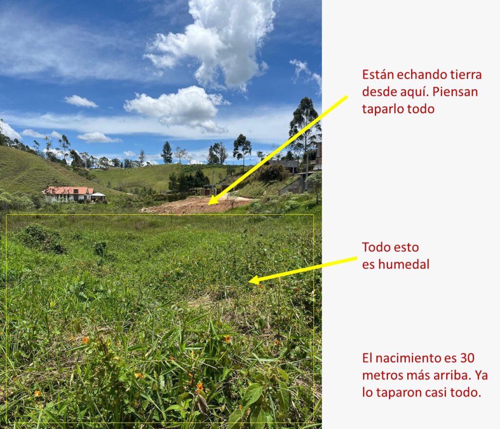 Humedal nacimiento de agua vereda La Mosquita Rionegro