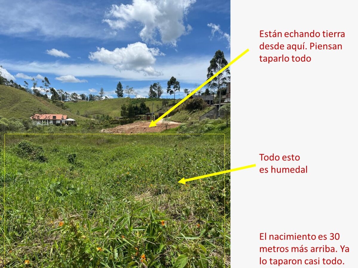 Humedal nacimiento de agua vereda La Mosquita Rionegro