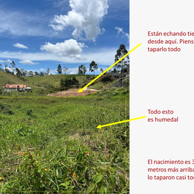 Estarían tapando un humedal en vereda de Rionegro