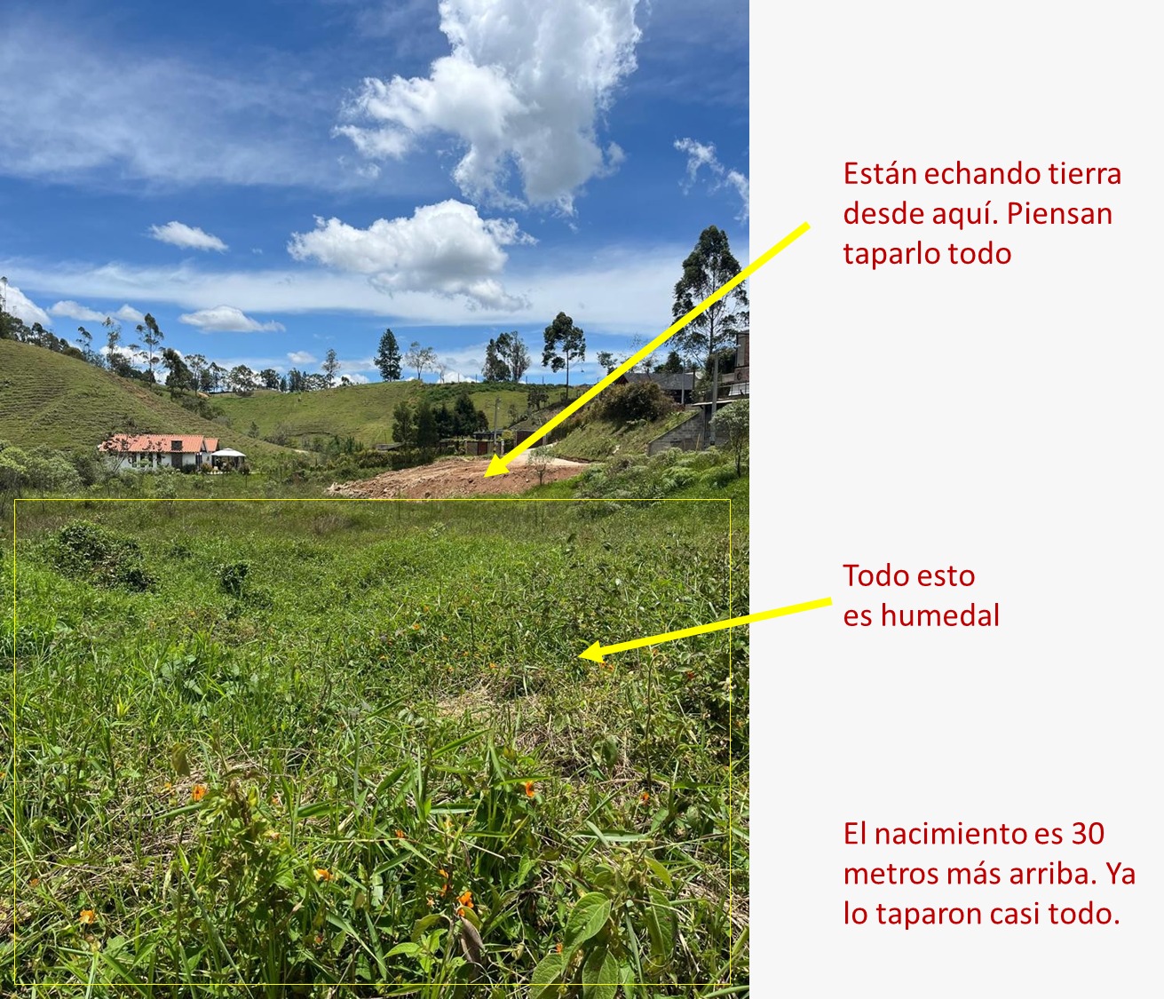 Humedal nacimiento de agua vereda La Mosquita Rionegro
