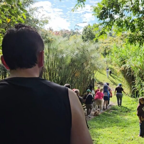 Arranca hoy la Semana Ambiental en Rionegro