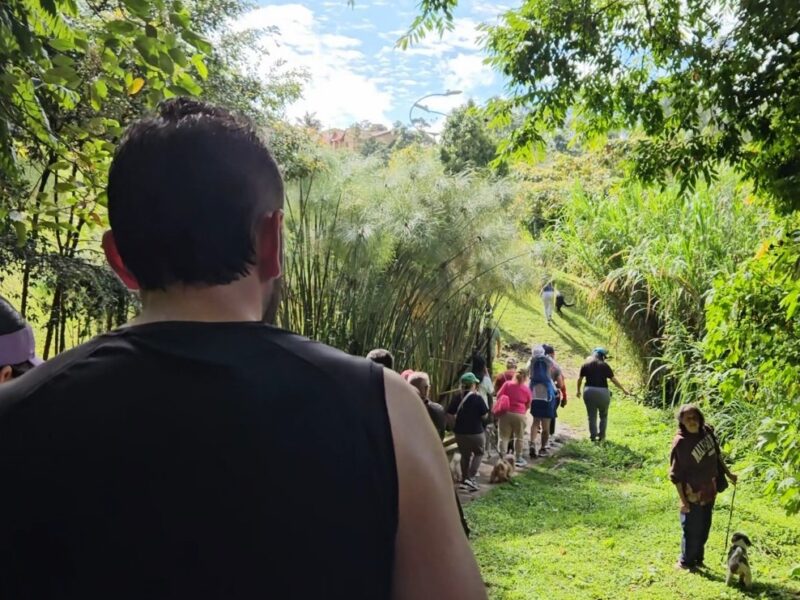 Arranca hoy la Semana Ambiental en Rionegro