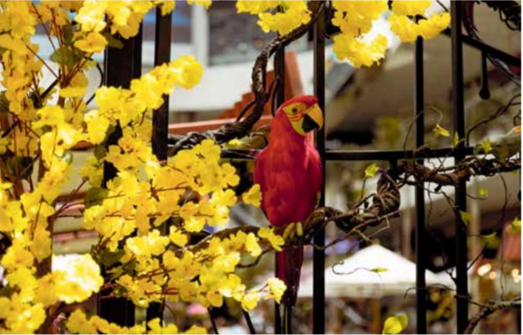 Publi El Tesoro para Feria de Flores 2026