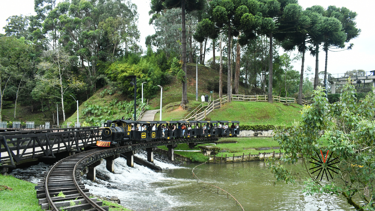 Vacaciones en familia: cinco experiencias para disfrutar en el Parque Comfama Rionegro